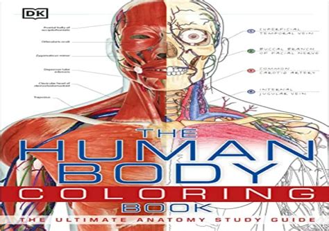 download the human body coloring book pdf PDF