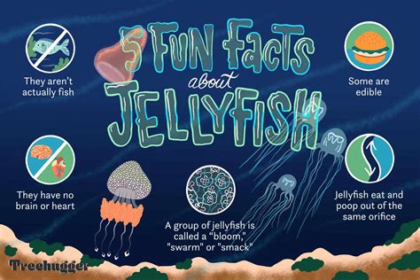 download thing about jellyfish pdf free Reader
