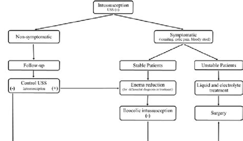 download treatment of small bowel Kindle Editon