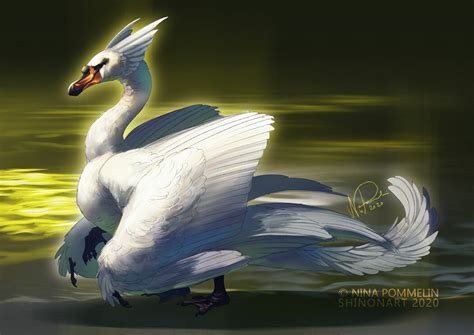 dragon swan