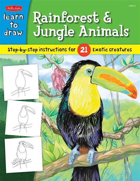 draw rainforest animals learn to draw PDF