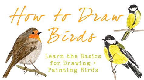 drawing and painting birds Epub