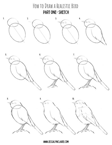 drawing birds with pencil PDF
