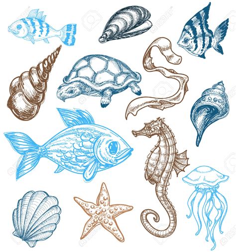 drawings of sea creatures Doc
