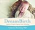 dreambirth transforming the journey of childbirth through imagery PDF