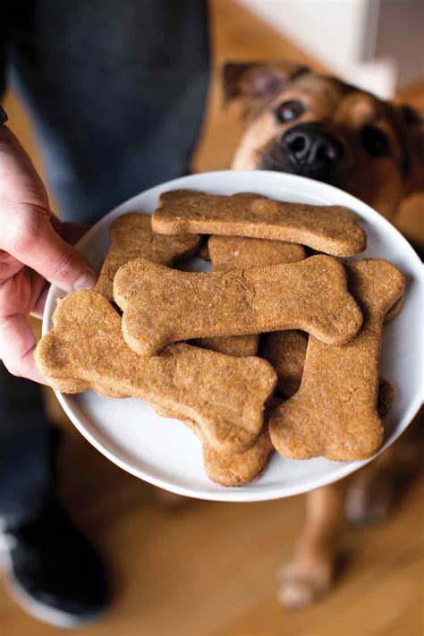 dreammaker dog treats