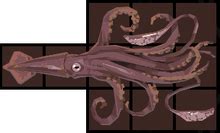 dredge colossal squid