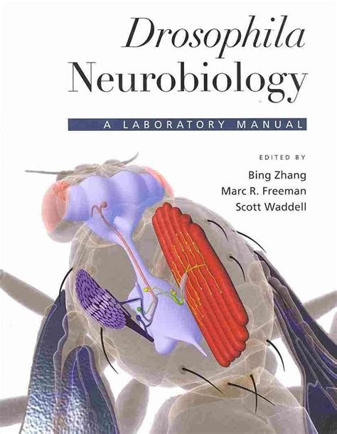 drosophila neurobiology a laboratory manual PDF