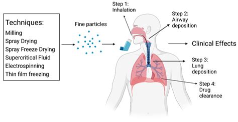 dry powder inhalation technical and physiological aspects prescribing and use Reader