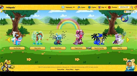 dti neopets: The Ultimate Guide to Enhancing Neopets Gameplay