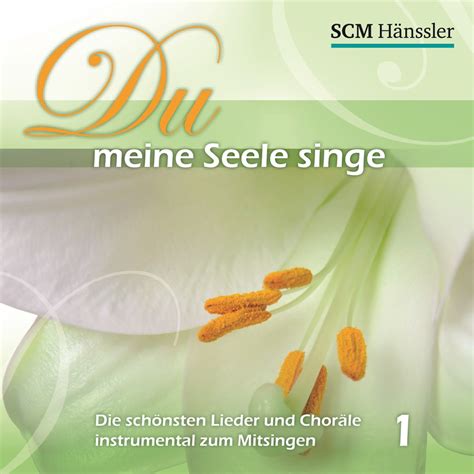 du meine seele singe 2016 PDF