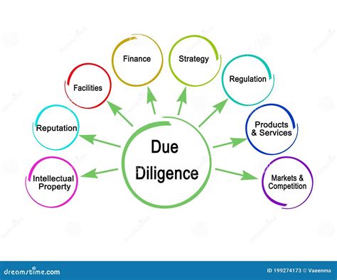 due diligence due diligence PDF