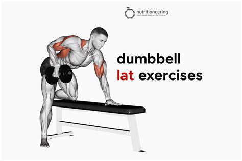 dumbbell back workout