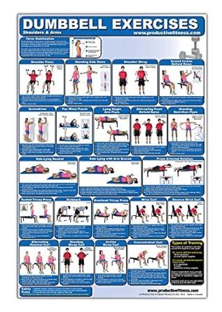 dumbbell exercises shoulders and arms laminated poster Kindle Editon