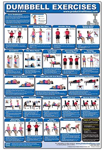 dumbbell exercises shoulders and arms laminated poster Kindle Editon