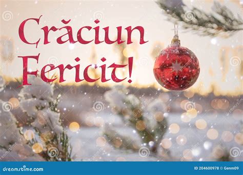 dumnezeu este merry christmas romanian Kindle Editon