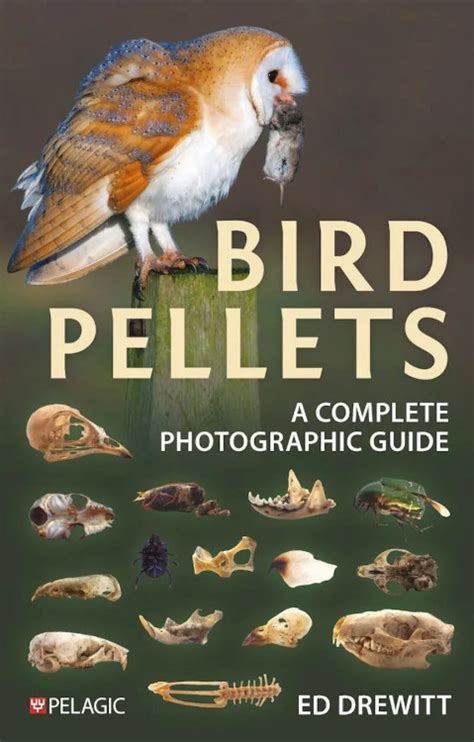 dunecraft skelleton pellets bird user guide Epub