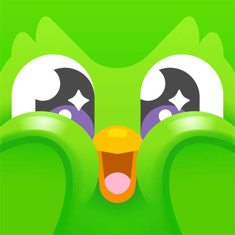 Duolingo App Icon Melting