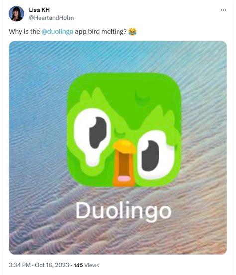 Duolingo App Icon Melting