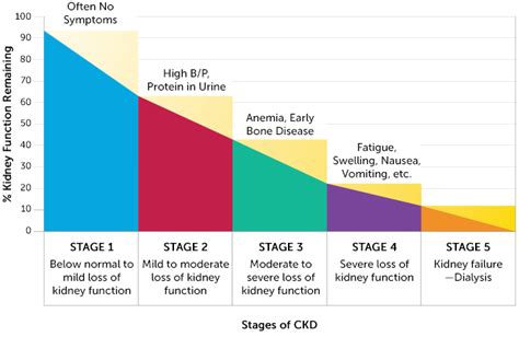 dying from kidney failure timeline