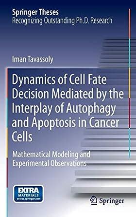 dynamics of cell fate decision mediated by the interplay of autophagy and apoptosis in cancer cells mathematical Doc