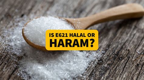 e621 halal or haram