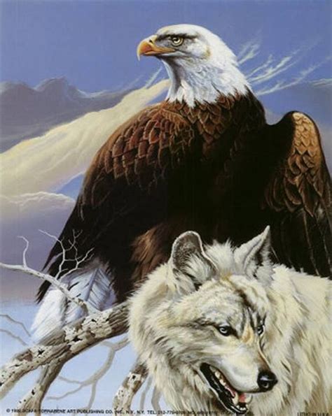 eagle and the wolves PDF