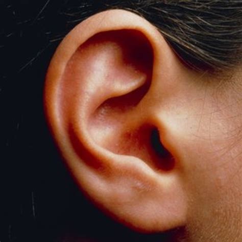 ear