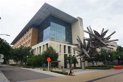 early action ut austin