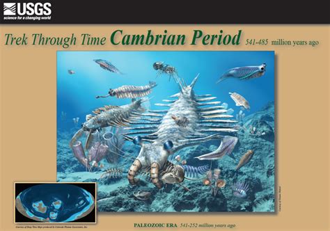 early life the cambrian period library binding Kindle Editon