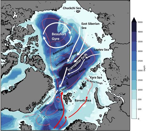 early migrations arctic drift currents Kindle Editon