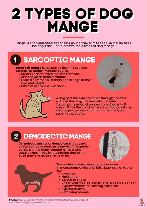 early signs of mange in dogs