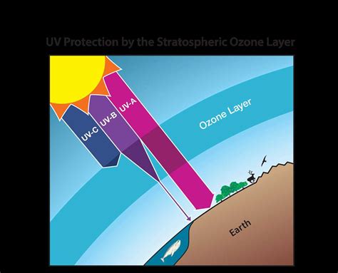 earth science assessment answers unit1 8 Kindle Editon