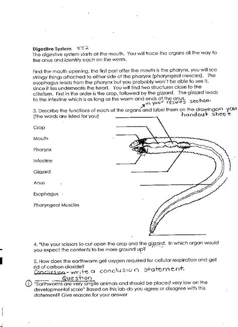 earthworm pre lab worksheet mr e science answers Ebook PDF