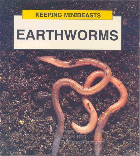 earthworms minibeasts Kindle Editon