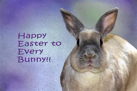 easter is for every bunny Doc