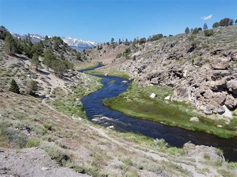 eastern sierra guide service Kindle Editon