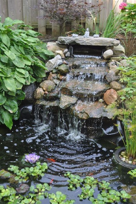 easy gardens volume 9 water features and ponds PDF