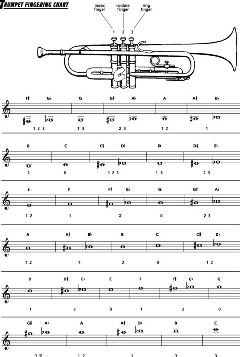 easy steps to the band b flat cornet trumpet PDF