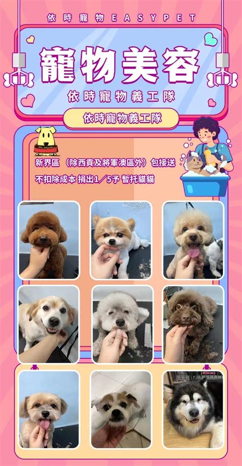 easypet 依 時 寵物 有限 公司：公司的概況