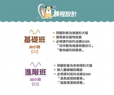 easypet 依 時 寵物 有限 公司：寵物照護領域的領航者