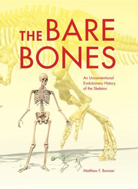 ebook bare bones unconventional evolutionary skeleton Doc