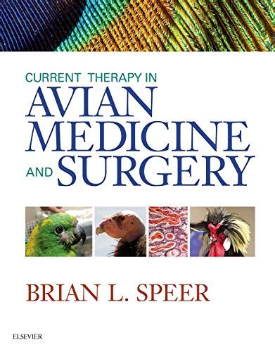 ebook current therapy avian medicine surgery Reader