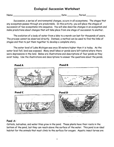 ecological succession worksheet answer key Reader