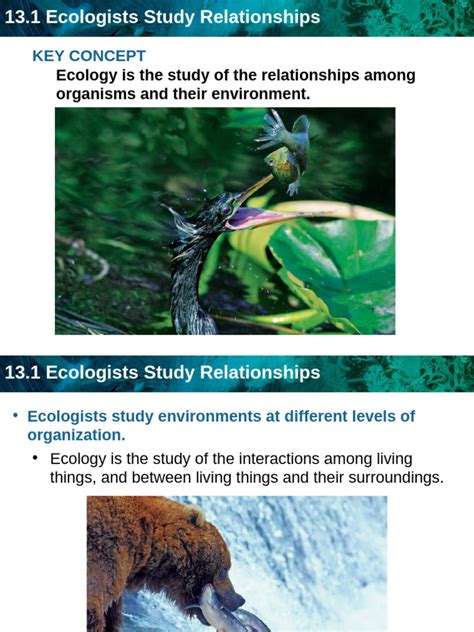 ecologists study relationships study guide answers Doc