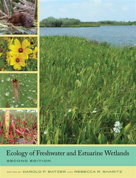 ecology of freshwater and estuarine wetlands Epub