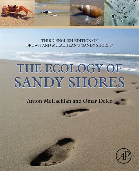 ecology of sandy shores Doc