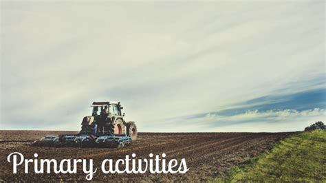 economic activity primary