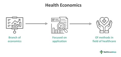 economic aspects of health economic aspects of health Kindle Editon