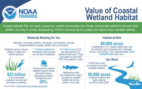 economic valuation of wetland ecosystem services in delaware Reader